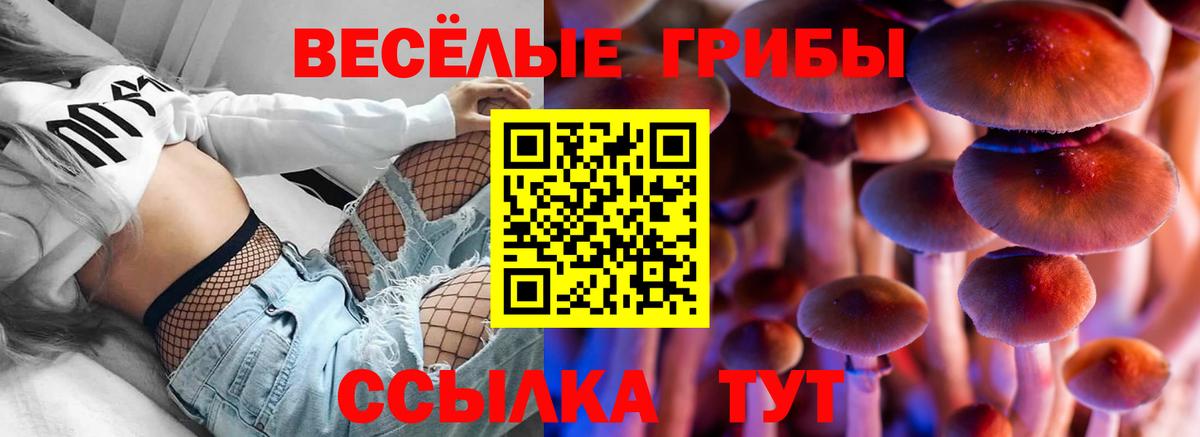 Галлюциногенные грибы Magic Shrooms Касимов