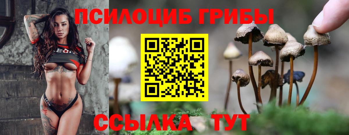Касимов  Галлюциногенные грибы прущие грибы  Вход с VPN  Галлюциногенные грибы мицелий 